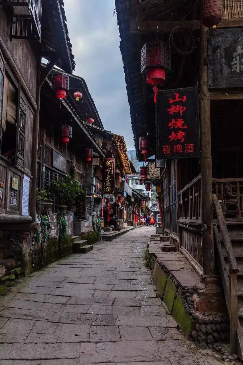 逃离天鹅森林
