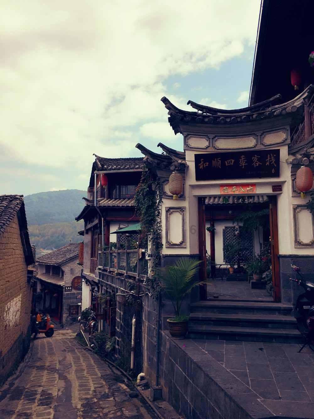 近日,浙江杭州,越冬候鸟在西湖频频捕食,像极了吃自助餐