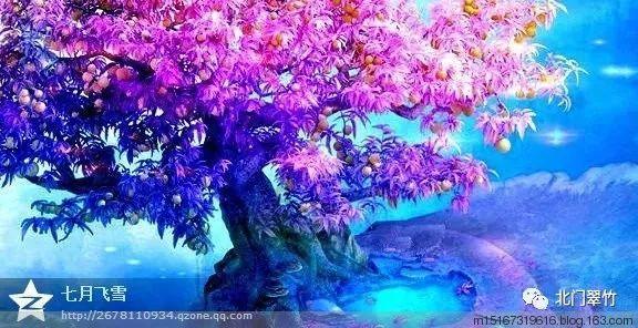 正义的化身